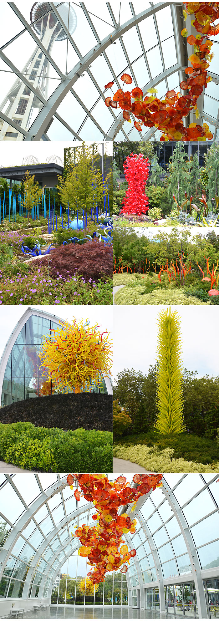 Chihuly_Garden_seattle_center