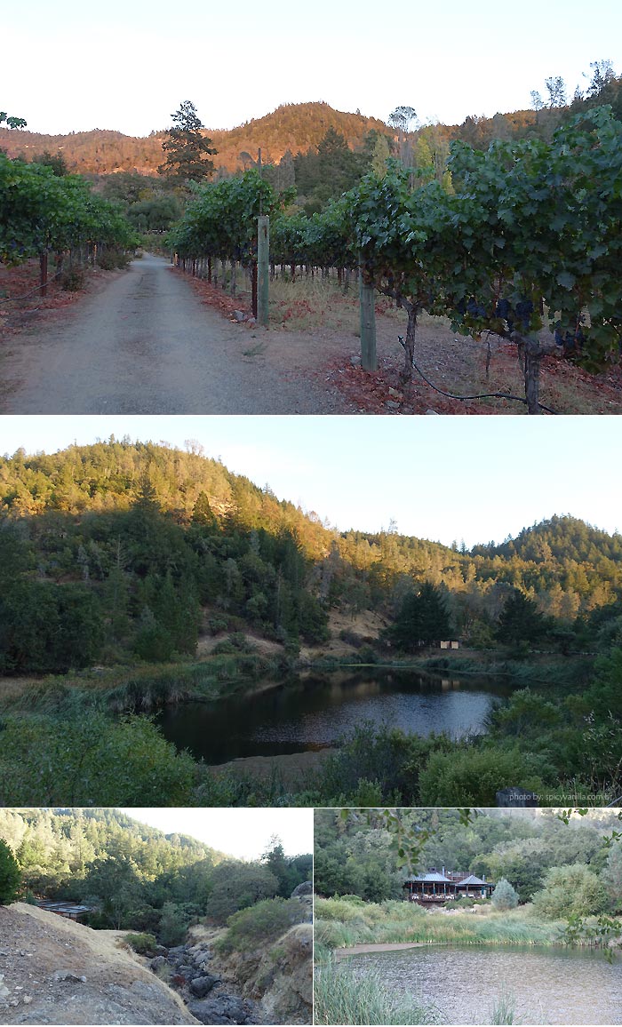 calistoga-ranch-nature