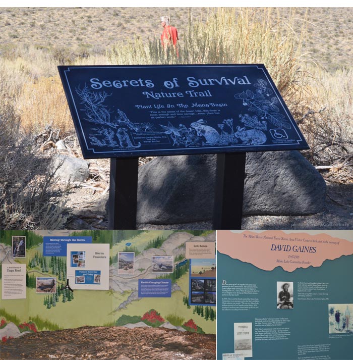 mono-lake-centro-visitantes