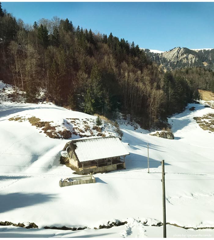 Dicas da Suíça: Trem GoldenPass Lucerna - Interlaken ~ O Viajante Comilão