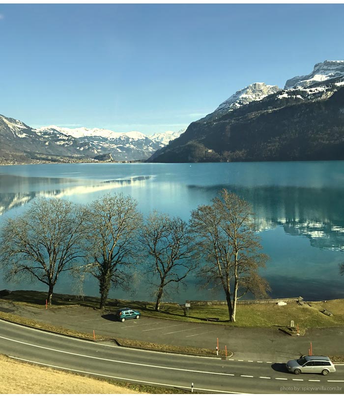 Dicas da Suíça: Trem GoldenPass Lucerna - Interlaken ~ O Viajante Comilão