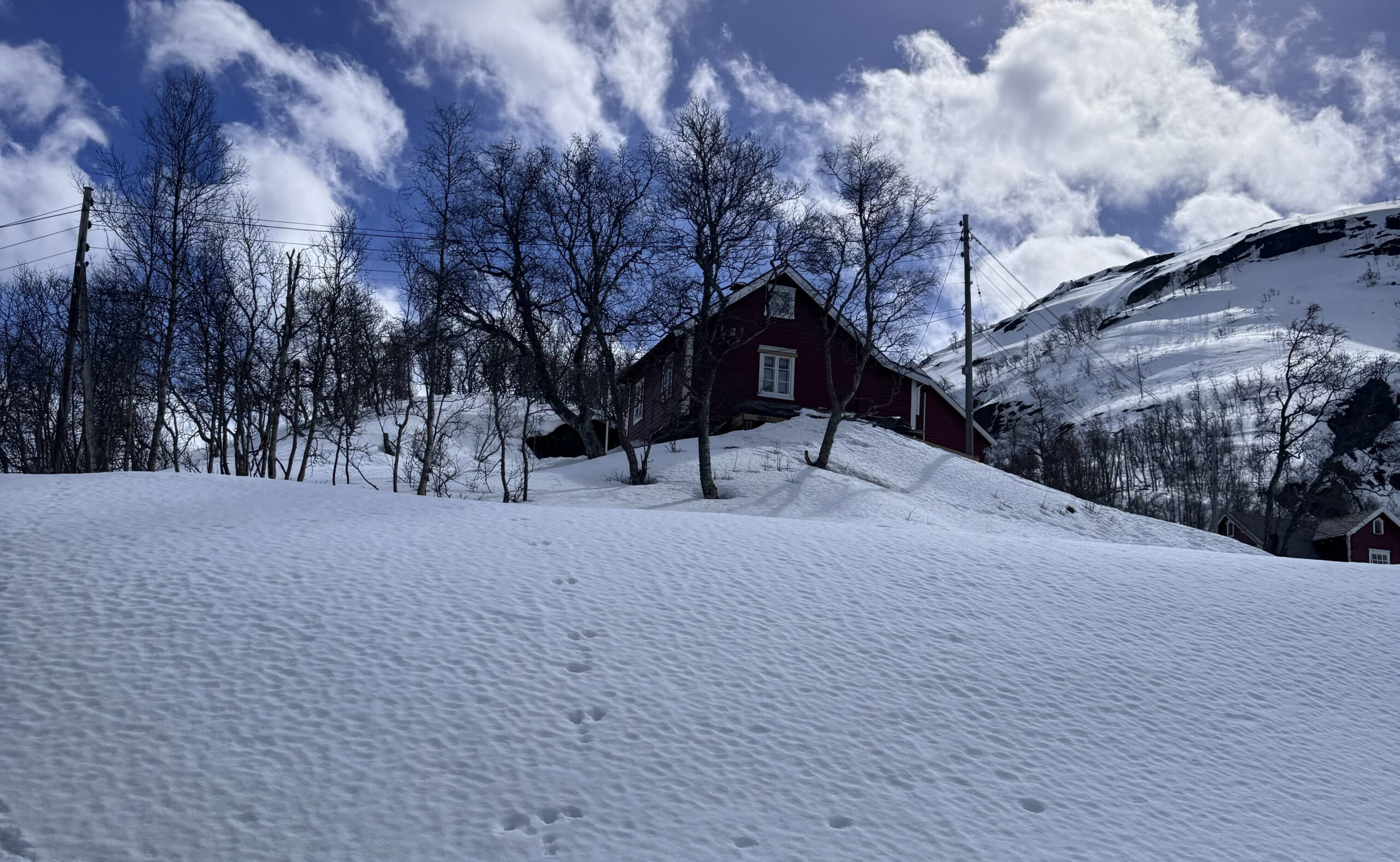 Noruega | Como ir de Bergen para Myrdal e Flåm no famoso trem Flåmsbana